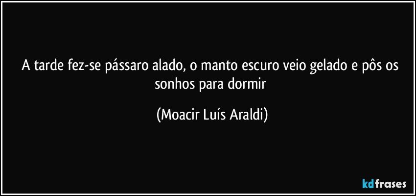 A tarde fez-se pássaro alado, o manto escuro veio gelado e pôs os sonhos para dormir (Moacir Luís Araldi)