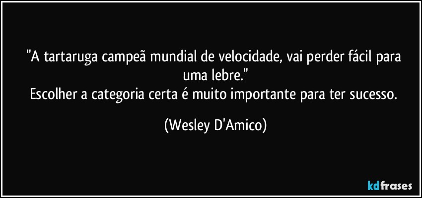 "A tartaruga campeã mundial de velocidade, vai perder fácil para uma lebre."
Escolher a categoria certa é muito importante para ter sucesso. (Wesley D'Amico)