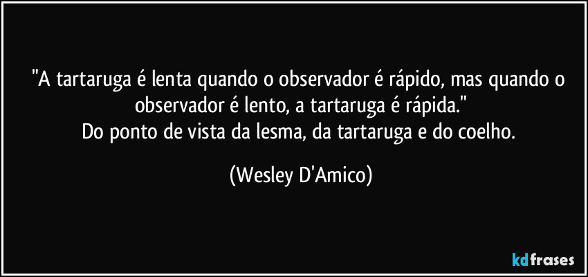"A tartaruga é lenta quando o observador é rápido, mas quando o observador é lento, a tartaruga é rápida."
Do ponto de vista da lesma, da tartaruga e do coelho. (Wesley D'Amico)