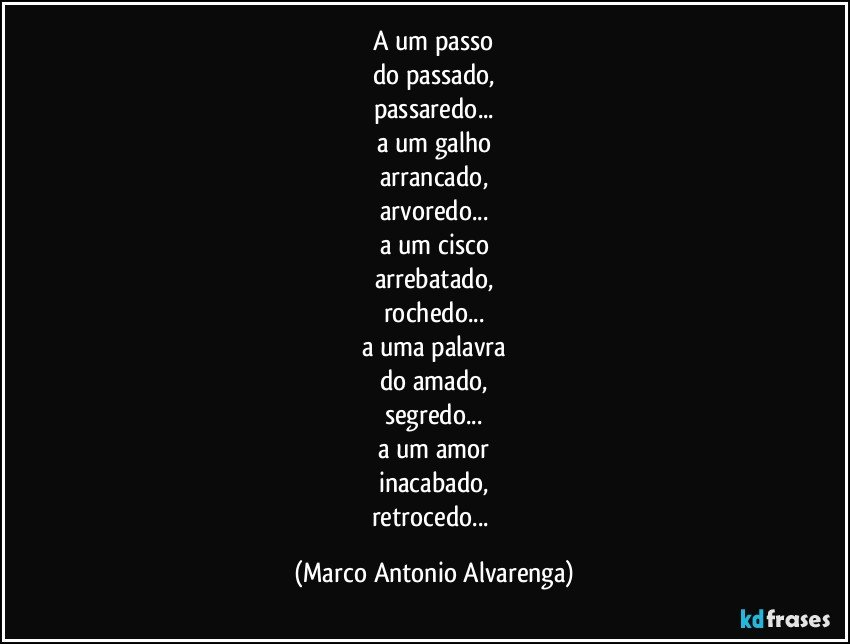 A um passo
do passado,
passaredo...
a um galho
arrancado,
arvoredo...
a um cisco
arrebatado,
rochedo...
a uma palavra
do amado,
segredo...
a um amor
inacabado,
retrocedo... (Marco Antonio Alvarenga)