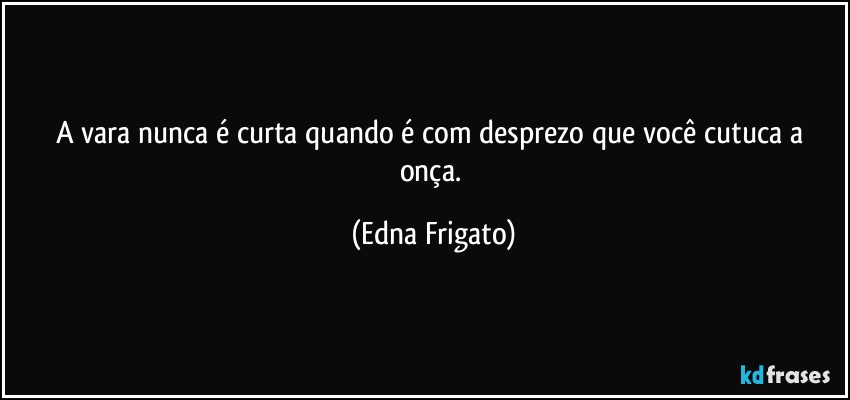 A vara nunca é curta quando é com desprezo que você cutuca a onça. (Edna Frigato)