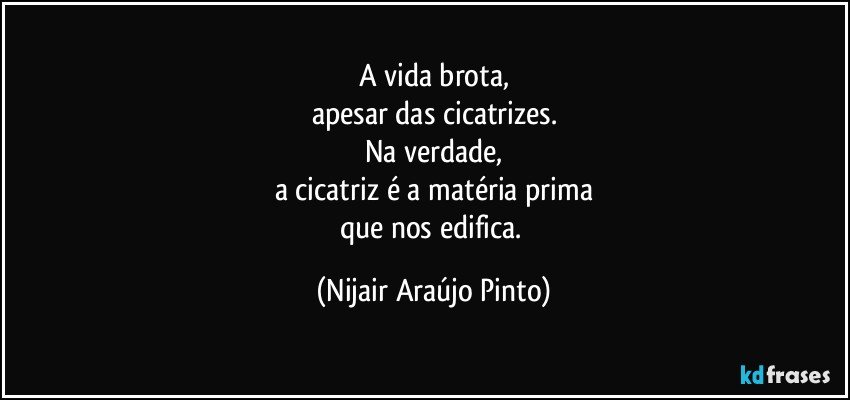 A vida brota,
apesar das cicatrizes.
Na verdade,
a cicatriz é a matéria prima
que nos edifica. (Nijair Araújo Pinto)