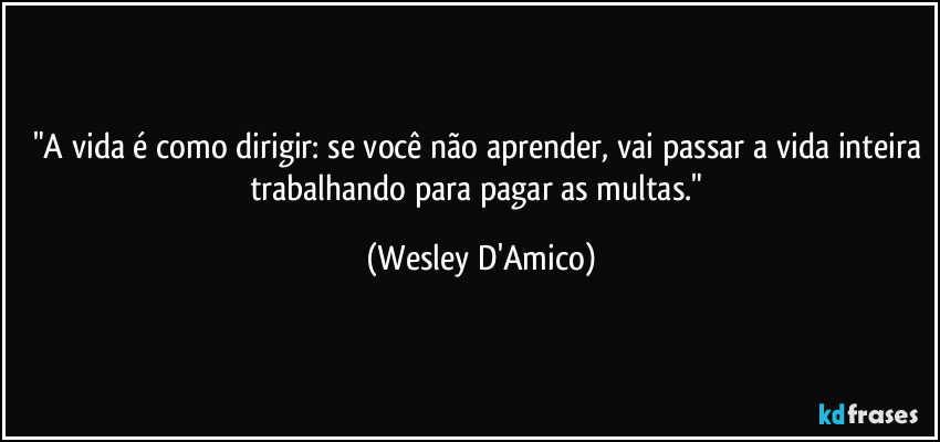"A vida é como dirigir: se você não aprender, vai passar a vida inteira trabalhando para pagar as multas." (Wesley D'Amico)