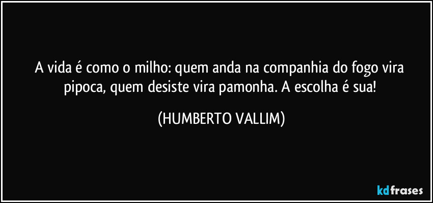 A vida é como o milho: quem anda na companhia do fogo vira pipoca, quem desiste vira pamonha. A escolha é sua! (HUMBERTO VALLIM)