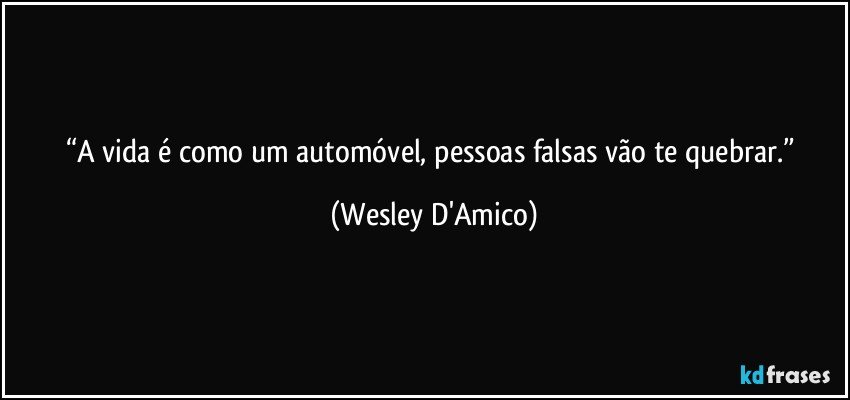 “A vida é como um automóvel, pessoas falsas vão te quebrar.” (Wesley D'Amico)