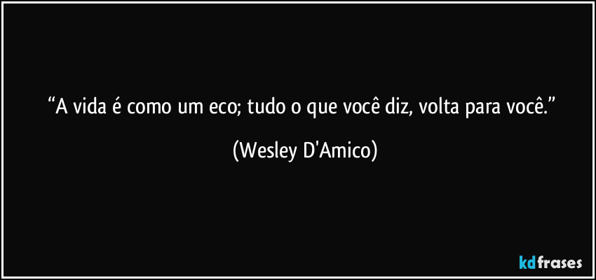 “A vida é como um eco; tudo o que você diz, volta para você.” (Wesley D'Amico)