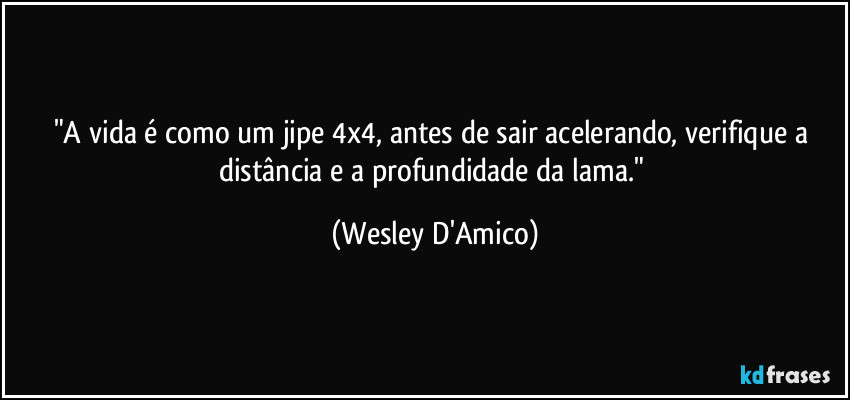 "A vida é como um jipe 4x4, antes de sair acelerando, verifique a distância e a profundidade da lama." (Wesley D'Amico)