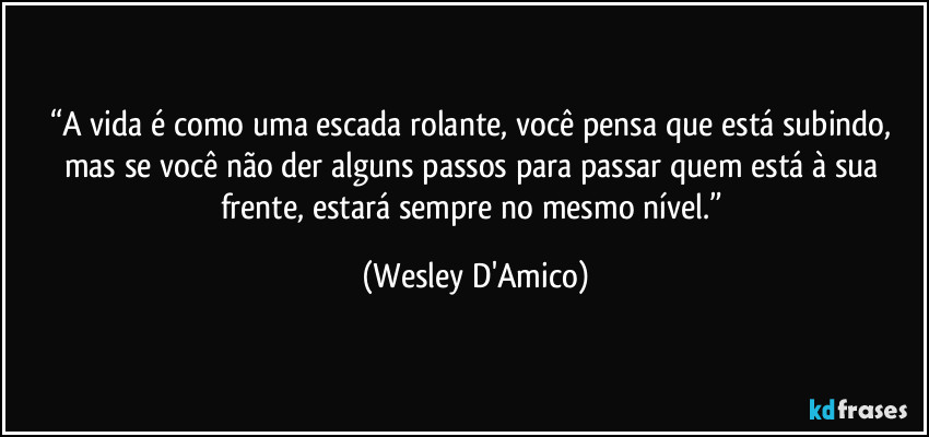 “A vida é como uma escada rolante, você pensa que está subindo, mas se você não der alguns passos para passar quem está à sua frente, estará sempre no mesmo nível.” (Wesley D'Amico)