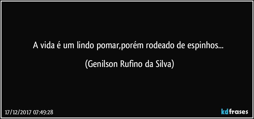 A  vida é um lindo pomar,porém rodeado de espinhos... (Genilson Rufino da Silva)