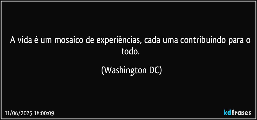 A vida é um mosaico de experiências, cada uma contribuindo para o todo. (Washington DC)