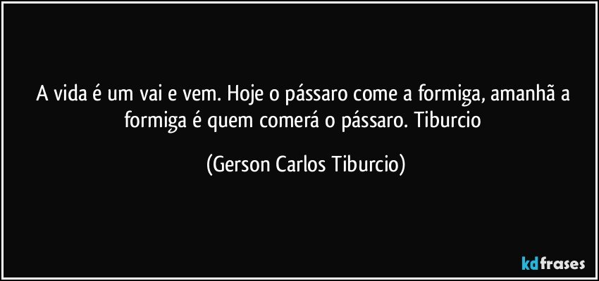 A vida é um vai e vem. Hoje o pássaro come a formiga, amanhã a formiga é quem comerá o pássaro. Tiburcio (Gerson Carlos Tiburcio)