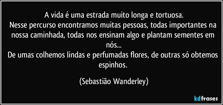 A vida é uma estrada muito longa e tortuosa.
Nesse percurso encontramos muitas pessoas, todas importantes na nossa caminhada, todas nos ensinam algo e plantam sementes em nós...
De umas colhemos lindas e perfumadas flores, de outras só obtemos espinhos. (Sebastião Wanderley)