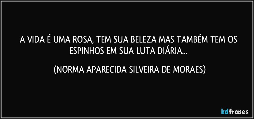 A VIDA É UMA ROSA, TEM SUA BELEZA MAS TAMBÉM TEM OS ESPINHOS EM SUA LUTA DIÁRIA... (NORMA APARECIDA SILVEIRA DE MORAES)