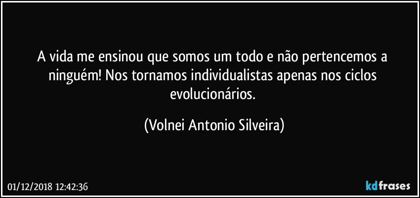 A vida me ensinou que somos um todo e não pertencemos a ninguém! Nos tornamos individualistas apenas nos ciclos evolucionários. (Volnei Antonio Silveira)