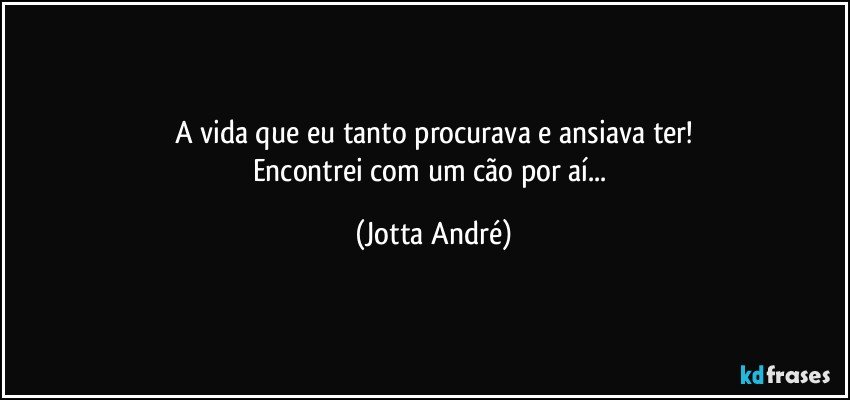 A vida que eu tanto procurava e ansiava ter!
Encontrei com um cão por aí... (Jotta André)