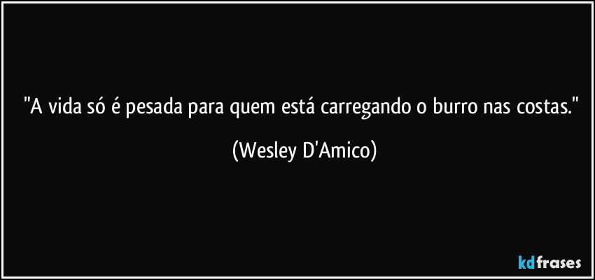 "A vida só é pesada para quem está carregando o burro nas costas." (Wesley D'Amico)