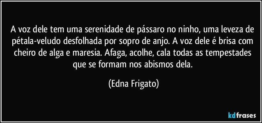 A voz dele tem uma serenidade de pássaro no ninho, uma leveza de pétala-veludo desfolhada por sopro de anjo. A voz dele é brisa com cheiro de alga e maresia.  Afaga, acolhe, cala todas as tempestades que se formam nos abismos dela. (Edna Frigato)