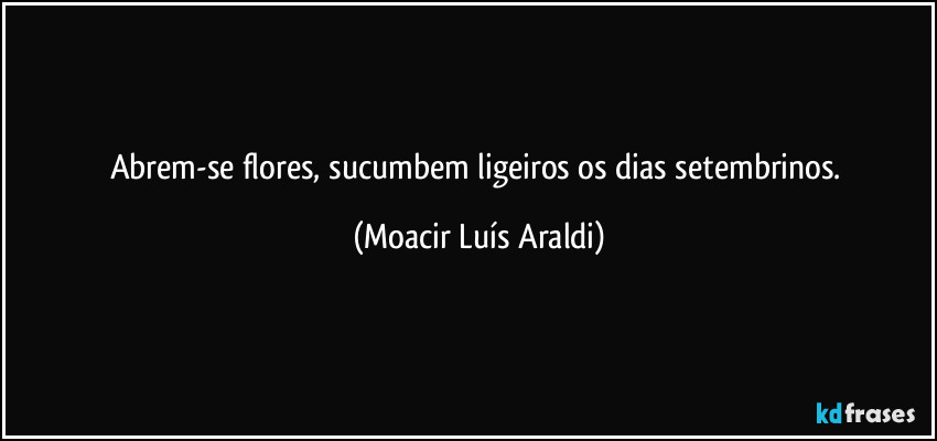 Abrem-se flores, sucumbem ligeiros os dias setembrinos. (Moacir Luís Araldi)
