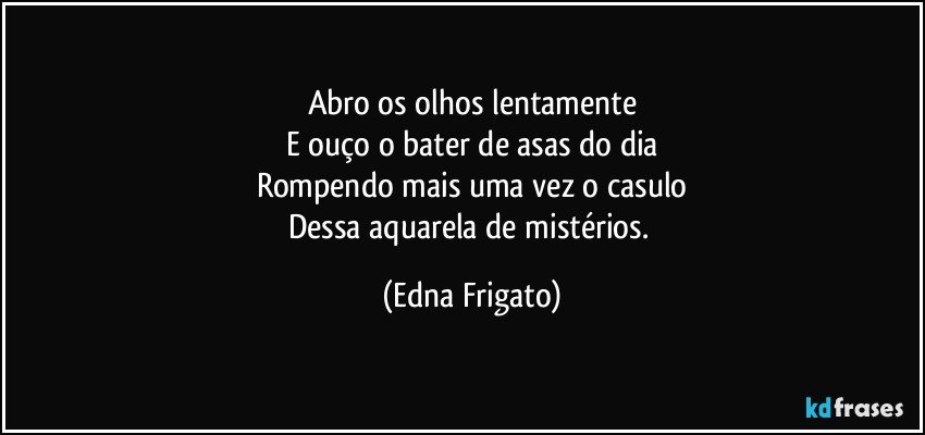 Abro os olhos lentamente
E ouço o bater de asas do dia
Rompendo mais uma vez o casulo
Dessa aquarela de mistérios. (Edna Frigato)