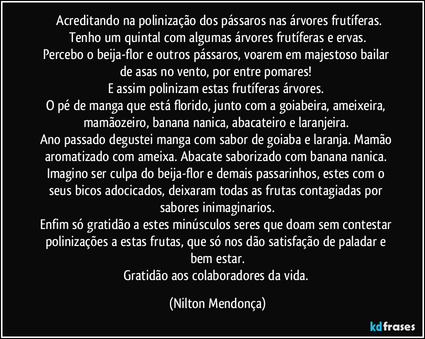 ⁠Acreditando na polinização dos pássaros nas árvores frutíferas.
Tenho um quintal com algumas árvores frutíferas e ervas.
Percebo o beija-flor e outros pássaros, voarem em majestoso bailar de asas no vento, por entre pomares! 
E assim polinizam estas frutíferas árvores. 
O pé de manga que está florido, junto com a goiabeira, ameixeira, mamãozeiro, banana nanica, abacateiro e laranjeira. 
Ano passado degustei manga com sabor de goiaba e laranja. Mamão aromatizado com ameixa. Abacate saborizado com banana nanica. 
Imagino ser culpa do beija-flor e demais passarinhos, estes com o seus bicos adocicados, deixaram todas as frutas contagiadas por sabores inimaginarios.
Enfim só gratidão a estes minúsculos seres que doam sem contestar polinizações a estas frutas, que só nos dão satisfação de paladar e bem estar.
Gratidão aos colaboradores da vida. (Nilton Mendonça)