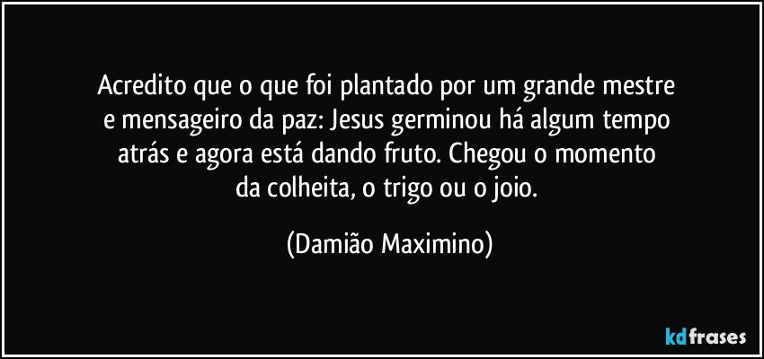 Acredito que o que foi plantado por um grande mestre 
e mensageiro da paz: Jesus germinou há algum tempo 
atrás e agora está dando fruto. Chegou o momento 
da colheita, o trigo ou o joio. (Damião Maximino)