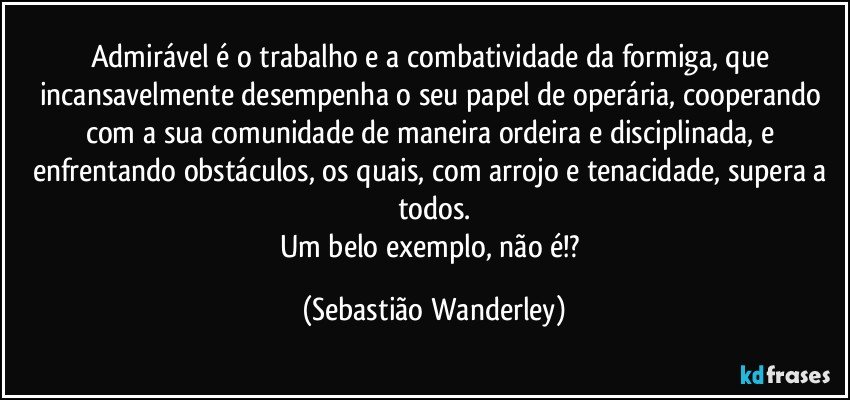 Admirável é o trabalho e a combatividade da formiga, que incansavelmente desempenha o seu papel de operária, cooperando com a sua comunidade de maneira ordeira e disciplinada, e enfrentando obstáculos, os quais, com arrojo e tenacidade, supera a todos.
Um belo exemplo, não é!? (Sebastião Wanderley)