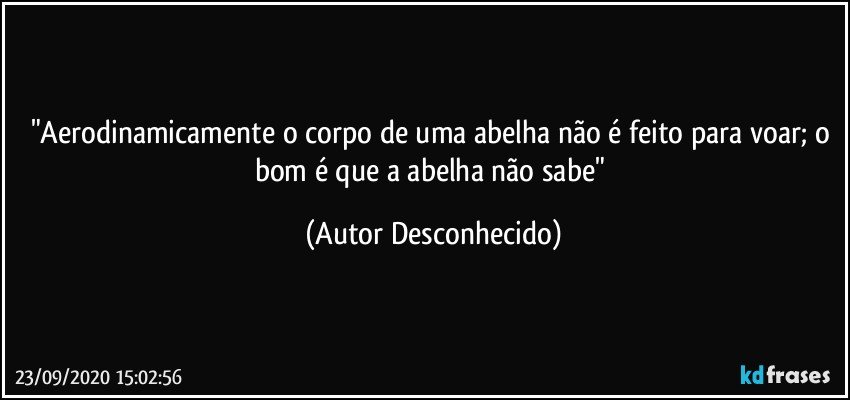 "Aerodinamicamente o corpo de uma abelha não é feito para voar; o bom é que a abelha não sabe" (Autor Desconhecido)