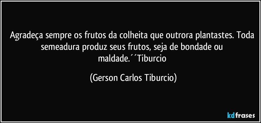 Agradeça sempre os frutos da colheita que outrora plantastes. Toda semeadura produz seus frutos, seja de bondade ou maldade.´´Tiburcio (Gerson Carlos Tiburcio)