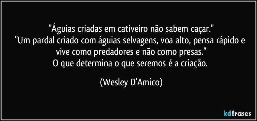 "Águias criadas em cativeiro não sabem caçar."
"Um pardal criado com águias selvagens, voa alto, pensa rápido e vive como predadores e não como presas."
O que determina o que seremos é a criação. (Wesley D'Amico)