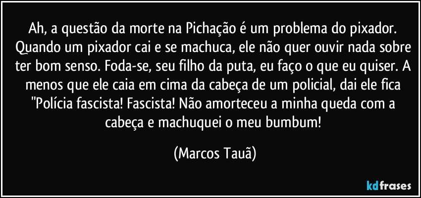 Ah, a questão da morte na Pichação é um problema do pixador. Quando um pixador cai e se machuca, ele não quer ouvir nada sobre ter bom senso. Foda-se, seu filho da puta, eu faço o que eu quiser. A menos que ele caia em cima da cabeça de um policial, dai ele fica "Polícia fascista! Fascista! Não amorteceu a minha queda com a cabeça e machuquei o meu bumbum! (Marcos Tauã)