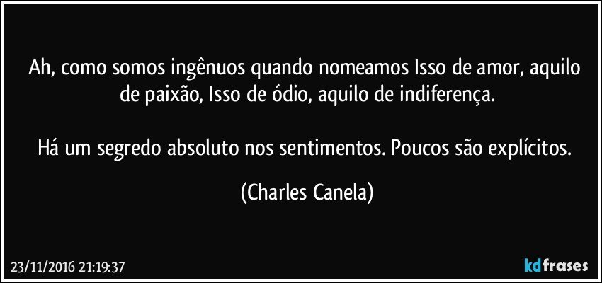 Ah, como somos ingênuos quando nomeamos Isso de amor, aquilo de paixão, Isso de ódio, aquilo de indiferença.

Há um segredo absoluto nos sentimentos. Poucos são explícitos. (Charles Canela)