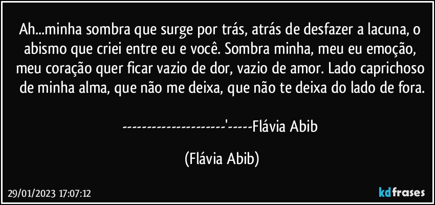 Ah...minha sombra que surge por trás, atrás de desfazer a lacuna, o abismo que criei entre eu e você. Sombra minha, meu eu emoção, meu coração quer ficar vazio de dor, vazio de amor. Lado caprichoso de minha alma, que não me deixa, que não te deixa do lado de fora.

---'---Flávia Abib (Flávia Abib)