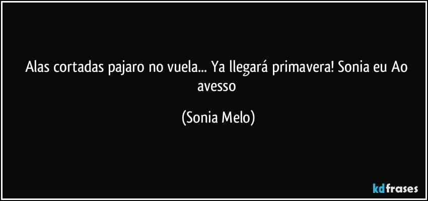 Alas cortadas pajaro no vuela... Ya llegará primavera! Sonia  eu Ao avesso (Sonia Melo)