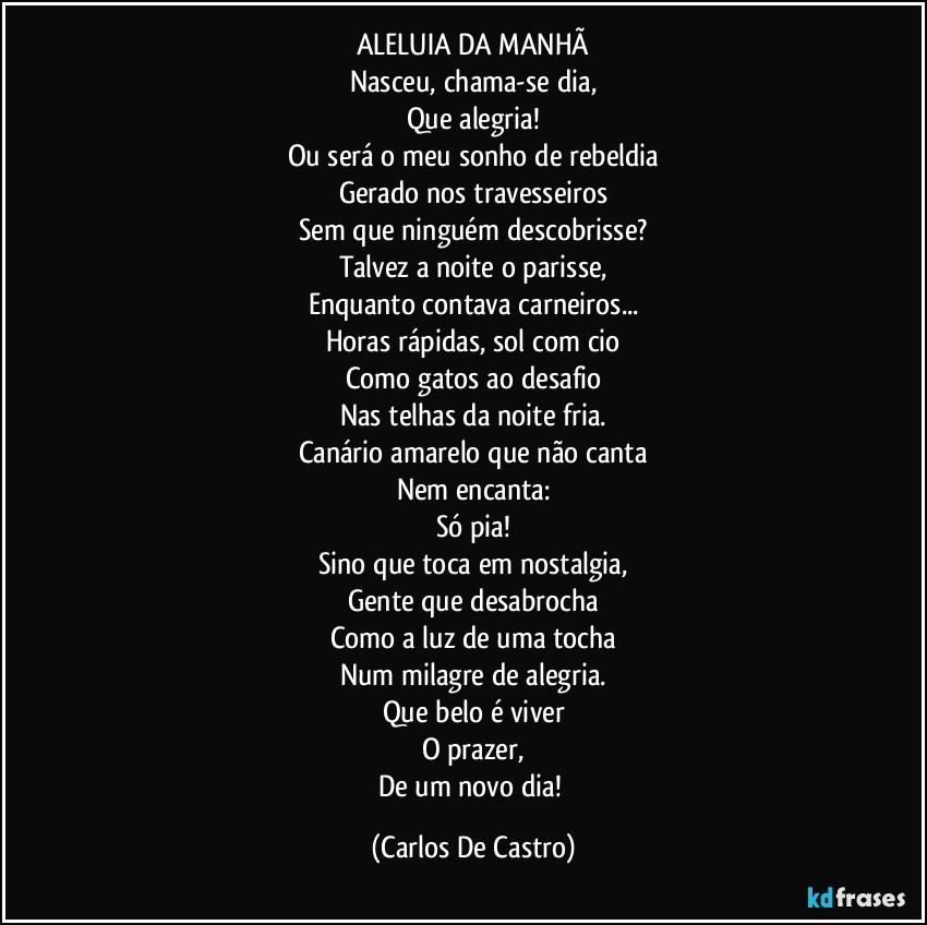 ALELUIA DA MANHÃ
Nasceu, chama-se dia,
Que alegria!
Ou será o meu sonho de rebeldia
Gerado nos travesseiros
Sem que ninguém descobrisse?
Talvez a noite o parisse,
Enquanto contava carneiros...
Horas rápidas, sol com cio
Como gatos ao desafio
Nas telhas da noite fria.
Canário amarelo que não canta
Nem encanta:
Só pia!
Sino que toca em nostalgia,
Gente que desabrocha
Como a luz de uma tocha
Num milagre de alegria.
Que belo é viver
O prazer,
De um novo dia! (Carlos De Castro)