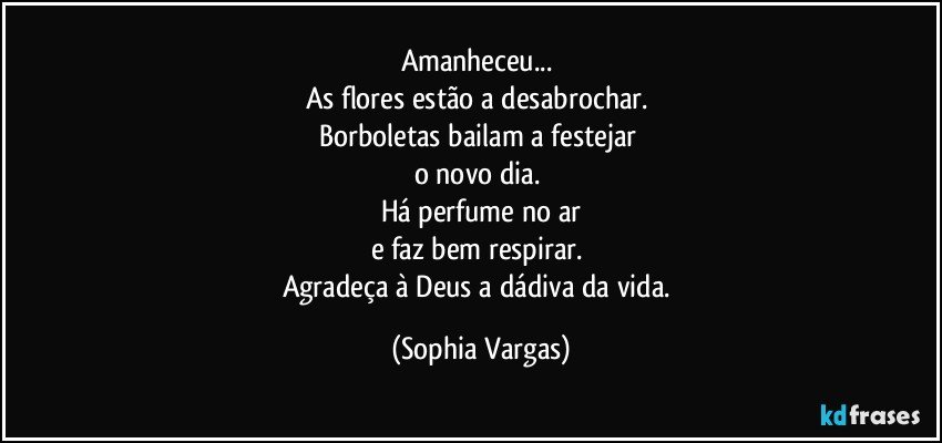 Amanheceu... 
As flores estão a desabrochar. 
Borboletas bailam a festejar 
o novo dia. 
Há perfume no ar
e faz bem respirar. 
Agradeça à Deus a dádiva da vida. (Sophia Vargas)