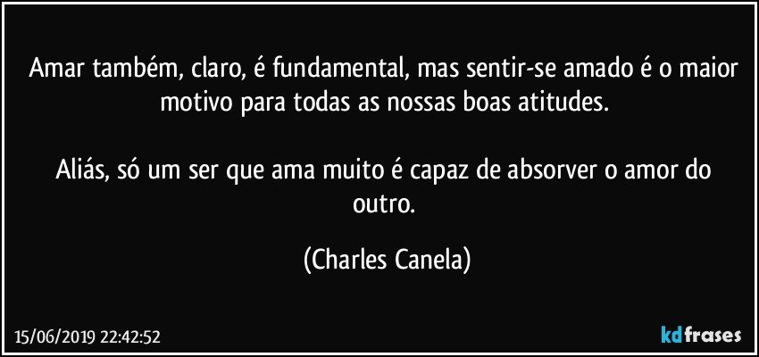 Amar também, claro, é fundamental, mas sentir-se amado é o maior motivo para todas as nossas boas atitudes. 

Aliás, só um ser que ama muito é capaz de absorver o amor do outro. (Charles Canela)