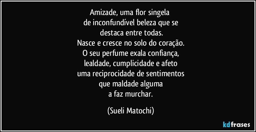 Amizade, uma flor singela 
de inconfundível beleza que se
 destaca entre todas.
Nasce e cresce no solo do coração.
O seu perfume exala confiança,
lealdade, cumplicidade e afeto
uma reciprocidade de sentimentos
que maldade alguma
 a faz murchar. (Sueli Matochi)