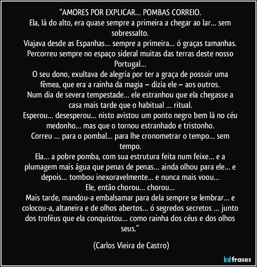 “AMORES POR EXPLICAR… POMBAS CORREIO. 
Ela, lá do alto, era quase sempre a primeira a chegar ao lar… sem sobressalto. 
Viajava desde as Espanhas… sempre a primeira… ó graças tamanhas. 
Percorreu sempre no espaço sideral muitas das terras deste nosso Portugal… 
O seu dono, exultava de alegria por ter a graça de possuir uma fêmea, que era a rainha da magia – dizia ele – aos outros. 
Num dia de severa tempestade… ele estranhou que ela chegasse a casa mais tarde que o habitual … ritual. 
Esperou… desesperou… nisto avistou um ponto negro bem lá no céu medonho… mas que o tornou estranhado e tristonho. 
Correu … para o pombal… para lhe cronometrar o tempo… sem tempo. 
Ela… a pobre pomba, com sua estrutura feita num feixe… e a plumagem mais água que penas de penas… ainda olhou para ele… e depois… tombou inexoravelmente… e nunca mais voou… 
Ele, então chorou… chorou… 
Mais tarde, mandou-a embalsamar para dela sempre se lembrar… e colocou-a, altaneira e de olhos abertos… ó segredos secretos … junto dos troféus que ela conquistou… como rainha dos céus e dos olhos seus.” (Carlos Vieira de Castro)