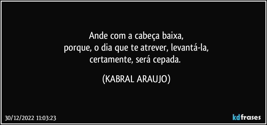 Ande com a cabeça baixa,
porque, o dia que te atrever, levantá-la,
certamente, será cepada. (KABRAL ARAUJO)