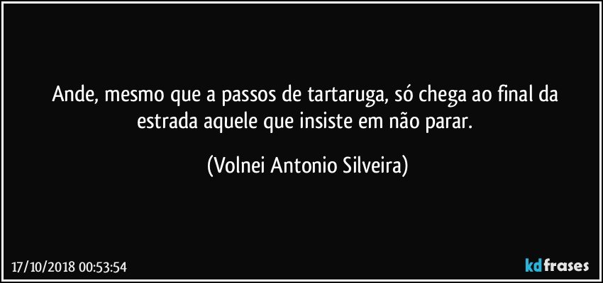 Ande, mesmo que a passos de tartaruga, só  chega ao final da estrada aquele que insiste em não parar. (Volnei Antonio Silveira)