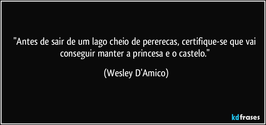 "Antes de sair de um lago cheio de pererecas, certifique-se que vai conseguir manter a princesa e o castelo." (Wesley D'Amico)