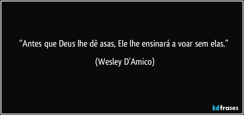 “Antes que Deus lhe dê asas, Ele lhe ensinará a voar sem elas.” (Wesley D'Amico)