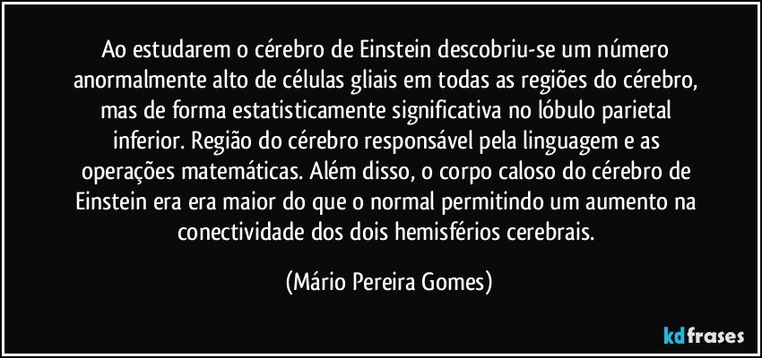 Ao estudarem o cérebro de Einstein descobriu-se um número anormalmente alto de células gliais em todas as regiões do cérebro, mas de forma estatisticamente significativa no lóbulo parietal inferior. Região do cérebro responsável pela linguagem e as operações matemáticas. Além disso, o corpo caloso do cérebro de Einstein era era maior do que o normal permitindo um aumento na conectividade dos dois hemisférios cerebrais. (Mário Pereira Gomes)