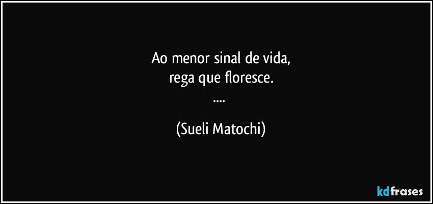 Ao menor sinal de vida,
rega que floresce.
... (Sueli Matochi)