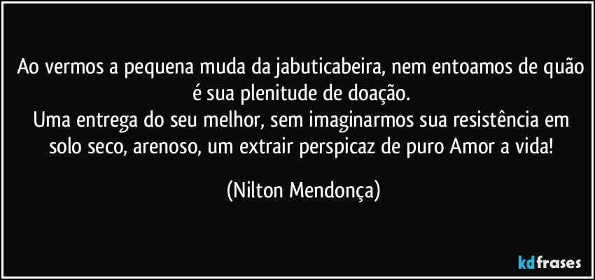 Ao vermos a pequena muda da jabuticabeira, nem entoamos de quão é sua plenitude de doação. 
Uma entrega do seu melhor, sem imaginarmos sua resistência em solo seco, arenoso, um extrair perspicaz de puro Amor a vida! (Nilton Mendonça)