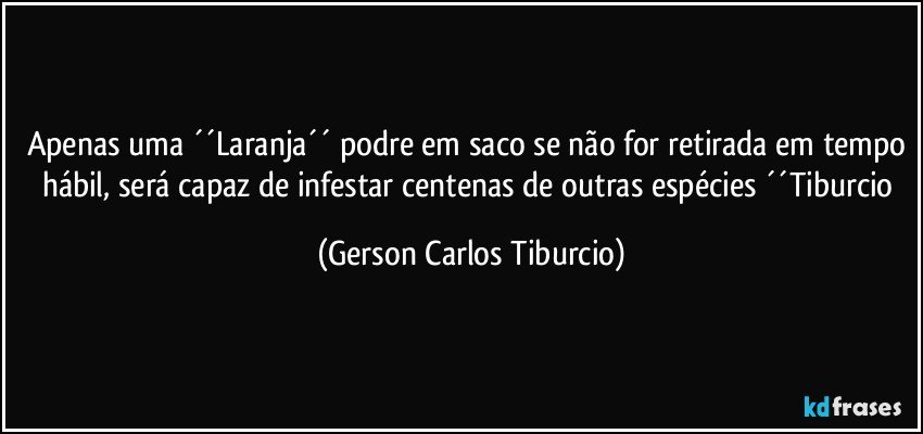 Apenas uma ´´Laranja´´ podre em saco se não for retirada em tempo hábil, será capaz de infestar centenas de outras espécies ´´Tiburcio (Gerson Carlos Tiburcio)