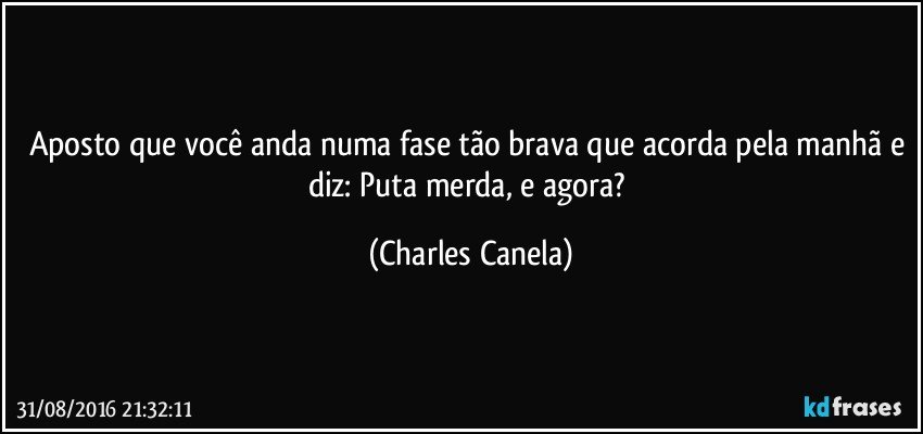 Aposto que você anda numa fase tão brava que acorda pela manhã e diz: Puta merda, e agora? (Charles Canela)