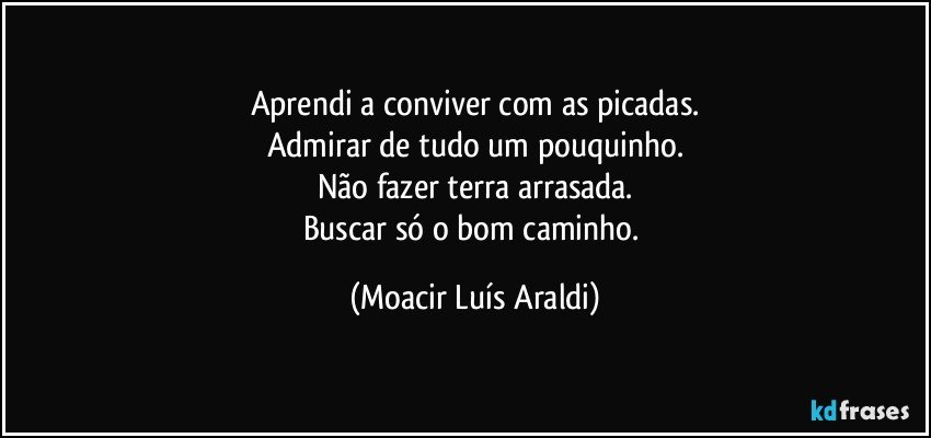 Aprendi a conviver com as picadas.
Admirar de tudo um pouquinho.
Não fazer terra arrasada.
Buscar só o bom caminho. (Moacir Luís Araldi)