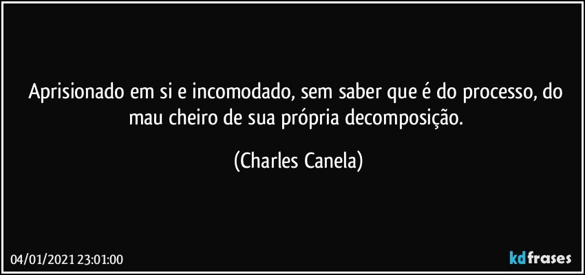 Aprisionado em si e incomodado, sem saber que é do processo, do mau cheiro de sua própria decomposição. (Charles Canela)