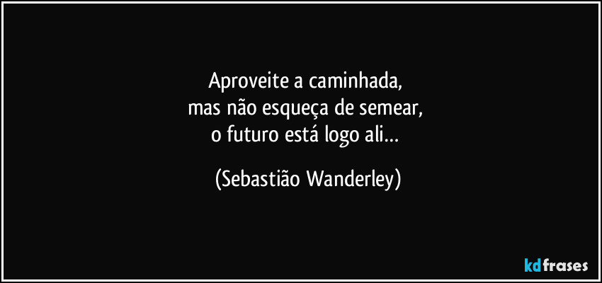 Aproveite a caminhada, 
mas não esqueça de semear, 
o futuro está logo ali… (Sebastião Wanderley)